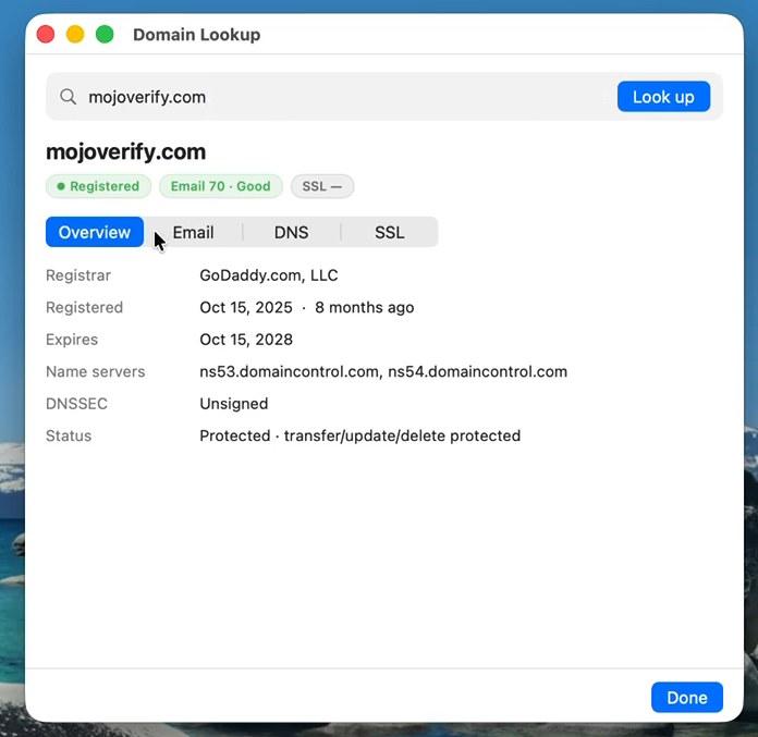 Domain lookup showing registration, DNS and email security for a domain