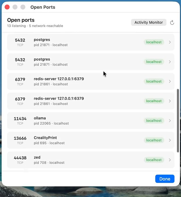 Open ports list showing processes bound to localhost