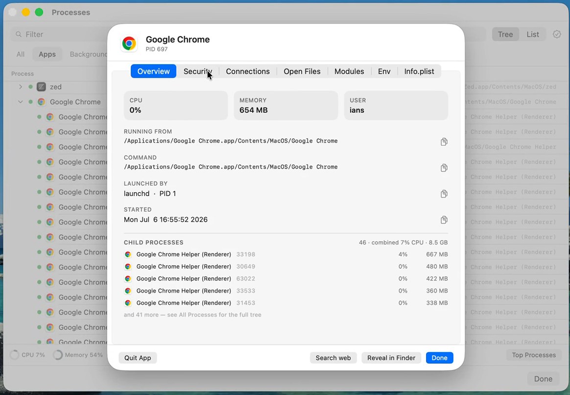Process inspector sheet over the explorer: Chrome's path, command, children with combined cost